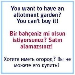 Vorsicht, Falle! Einen Kleingarten kann man nicht kaufen!    