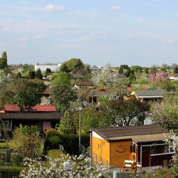 Landesverband fordert vom neuen Senat verbindliche Sicherung des Stadtgrüns