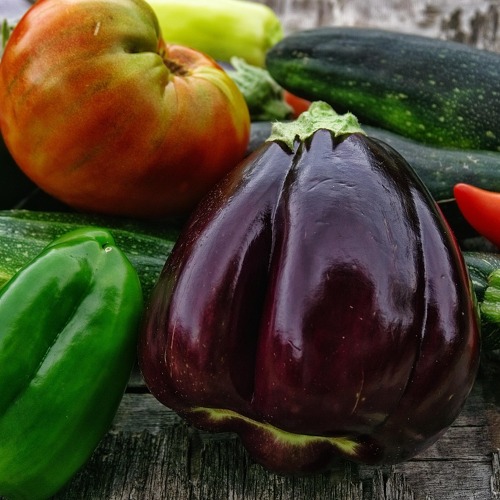 Gemüseanbau im Kleingarten – Erfolg mit Fruchtfolge und Mischkultur