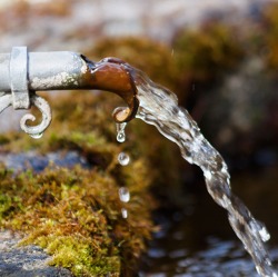 Wasserwirtschaft - Trink- und Abwasser im Garten